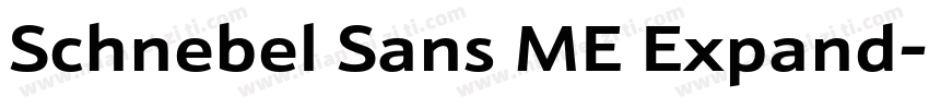 Schnebel Sans ME Expand字体转换